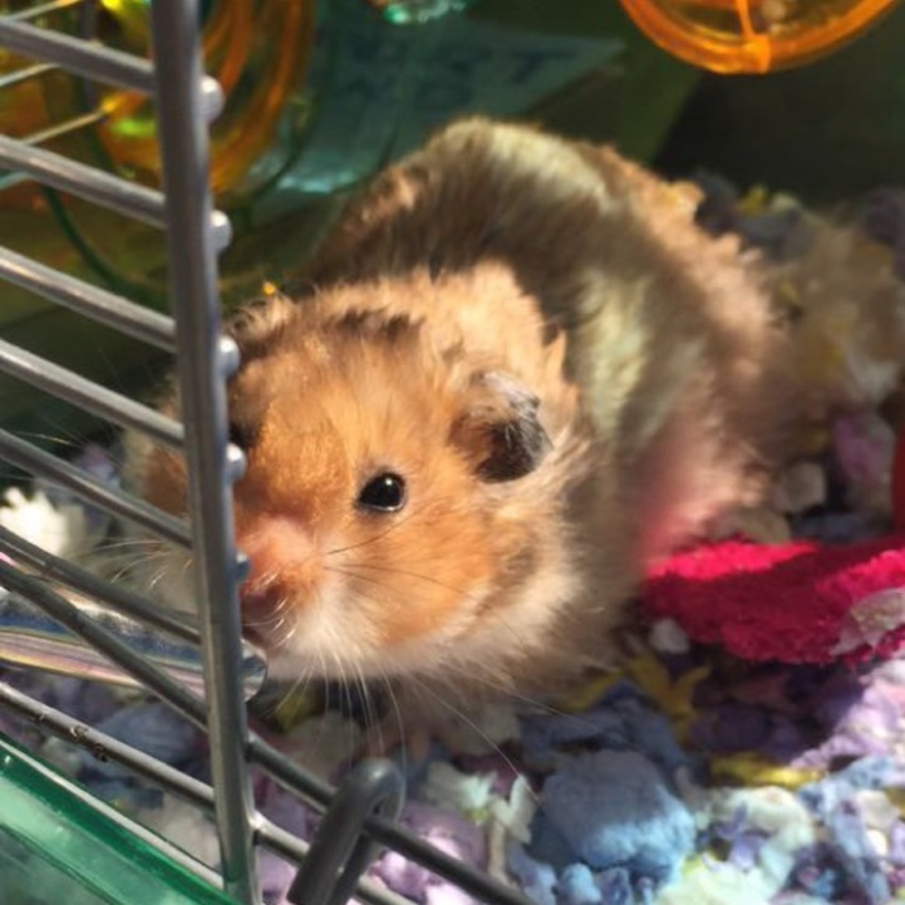 Meet your Posher, Lydia